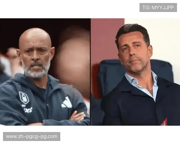 英超森林狼队主教练的执教风格与战术变化