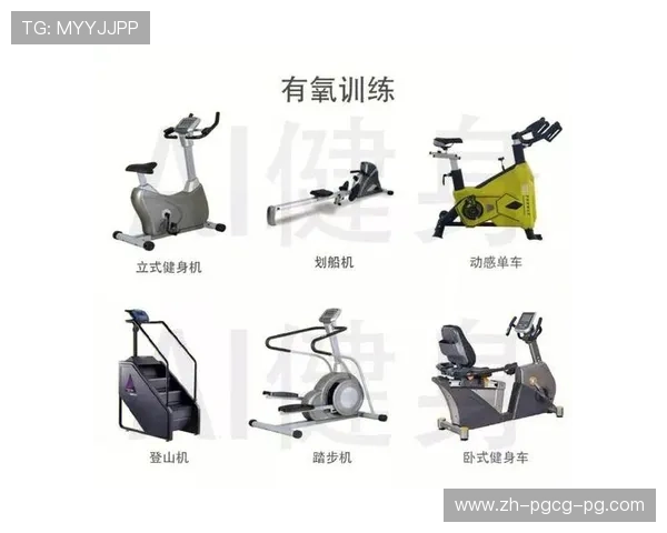 适合家用的健身器材排行榜与使用建议